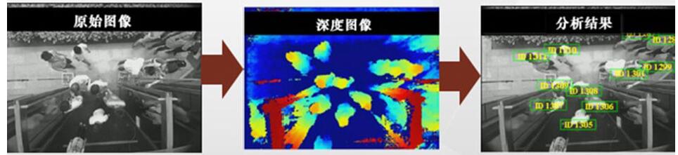 1662185839962069.jpg 高精度识别