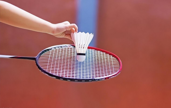 1677633516152186.png 图片.png